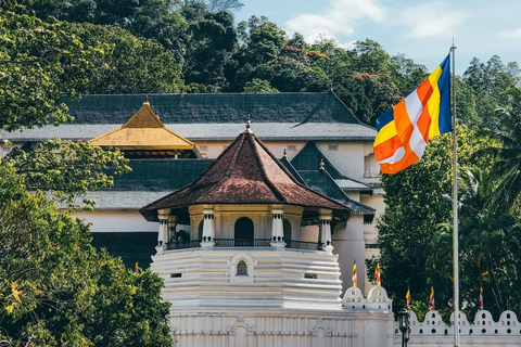 Bentota to Kandy Day Tour : Hidden Heritage, Tea Factory