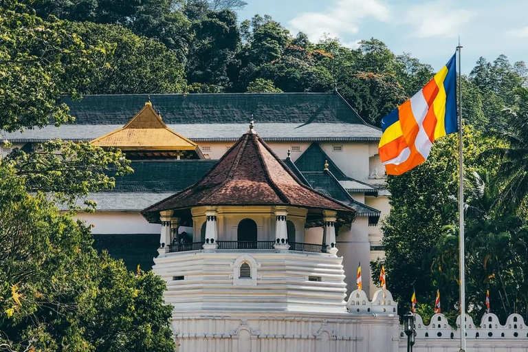 Bentota to Kandy Day Tour : Hidden Heritage, Tea Factory