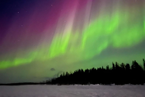 Levi: Avventura invernale con l&#039;aurora boreale