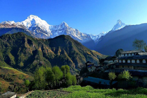 Pokhara : Journée de randonnée à Astham et au village de Dhampus