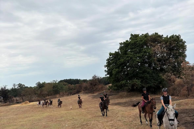 Rome: Lake Martignano Horseback Ride on a Private Estate Lake Martignano: Horseback Ride on a Private Estate