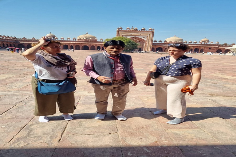 Au départ de Delhi : visite guidée d'une journée du Fort et du Taj Mahal