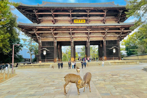 Jesienna Osaka, Nara i Katsuoji Minoh – prywatna wycieczka z przewodnikiem