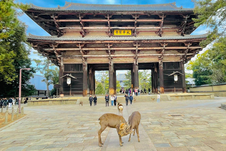 Jesienna Osaka, Nara i Katsuoji Minoh – prywatna wycieczka z przewodnikiem