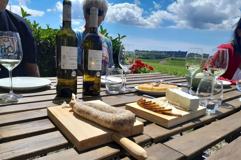 From Barcelona: 3 wineries with hotel pick-up and Lunch From Barcelona: Wine and Cava Tour with Tastings and Lunch