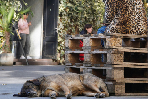 Tbilisi: Tour del cibo di strada alternativo della Riva Sinistra con bevande