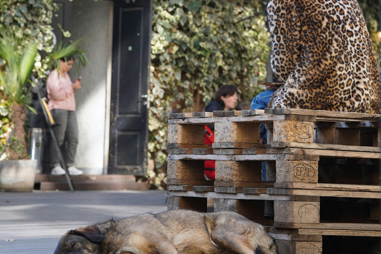 Tbilisi: Tour del cibo di strada alternativo della Riva Sinistra con bevande