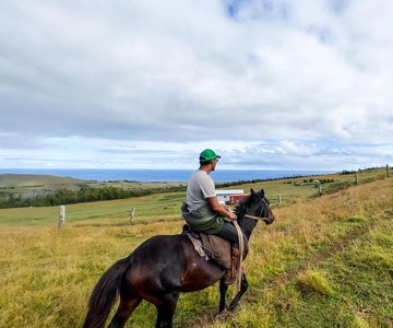 Terevaka Horse Excursion: The highest point and 360° view.