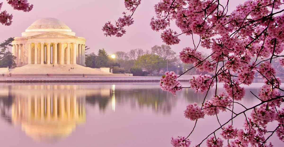 Washington D.C.’s Tidal Basin A SelfGuided Audio Tour GetYourGuide