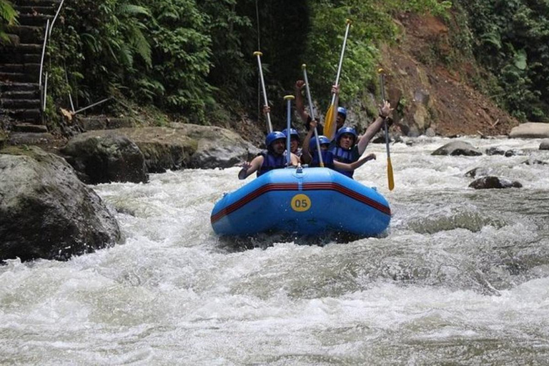 Bali: ATV Quad Bike, Rafting & Sangeh Monkey Forest Tour ATV Quad Bike, Rafting & Sangeh Monkey Forest Tour