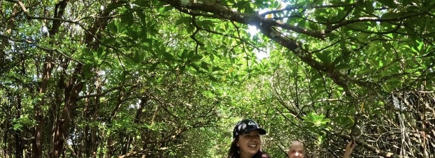 Île d'Ishigaki : excursion de 2 heures en SUP ou en canoë sur la rivière Miyara