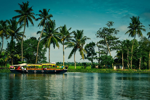 From Cochin: 8-Day Private Kerala Tour with Houseboat Stay Tour Without Accommodation