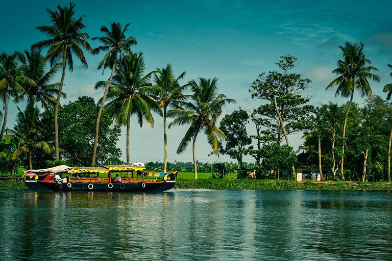 From Cochin: 8-Day Private Kerala Tour with Houseboat Stay Tour Without Accommodation