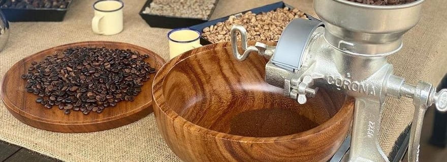 Bijagua : visite d'une plantation de cacao et d'ananas avec dégustations