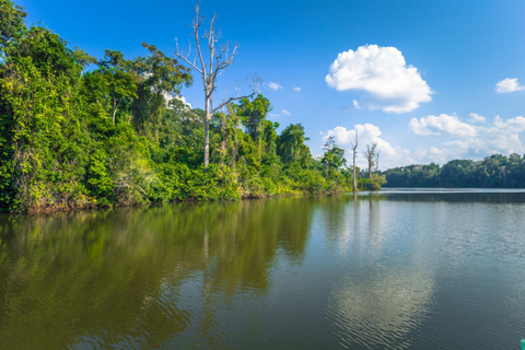 Manu: Amazon Jungle Wildlife & Macaw Clay Lick Tour