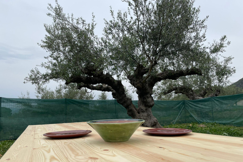 Kalamata: Farm-to-Table Experience with Cooking