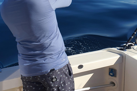 Cadiz: Trolling fishing in deep water