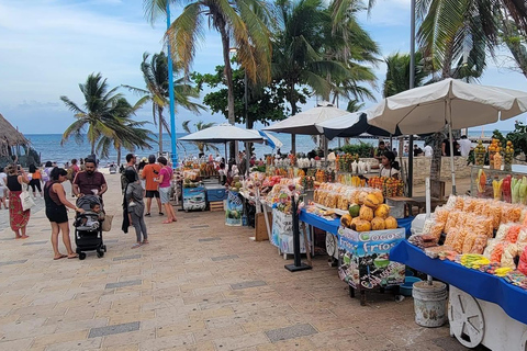 Playa del Carmen Tulum, Playa Paraiso, and 5th Avenue Tour