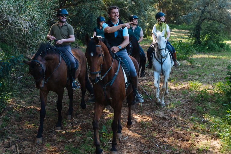Horseback ride around Doñana National Park Horseback riding around Doñana National Park