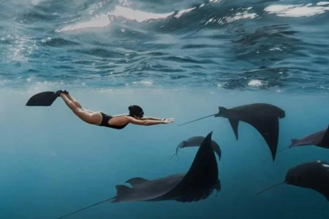 Bali: Nusa Penida Snorkeling and Island Tour with Lunch