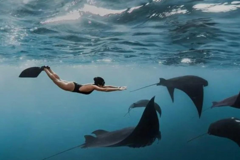 Bali: Nusa Penida Snorkeling and Island Tour with Lunch