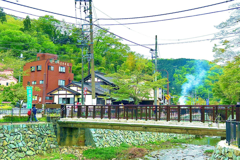 Mount Takao Adventure: Discover Nature & Tradition in Tokyo