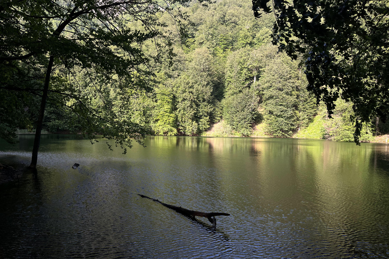 İsmayilli: Lake Qaranohur 2-Day Camping Trip with Games