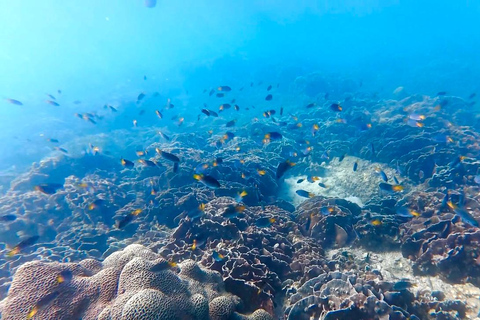 Hong Kong Sai Kung Full Day Snorkelling and Beach Yacht Tour