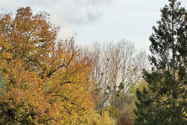 Bayeux: Occupation & Liberation Tour Bayeux: In the footsteps of history Guided Walking tour