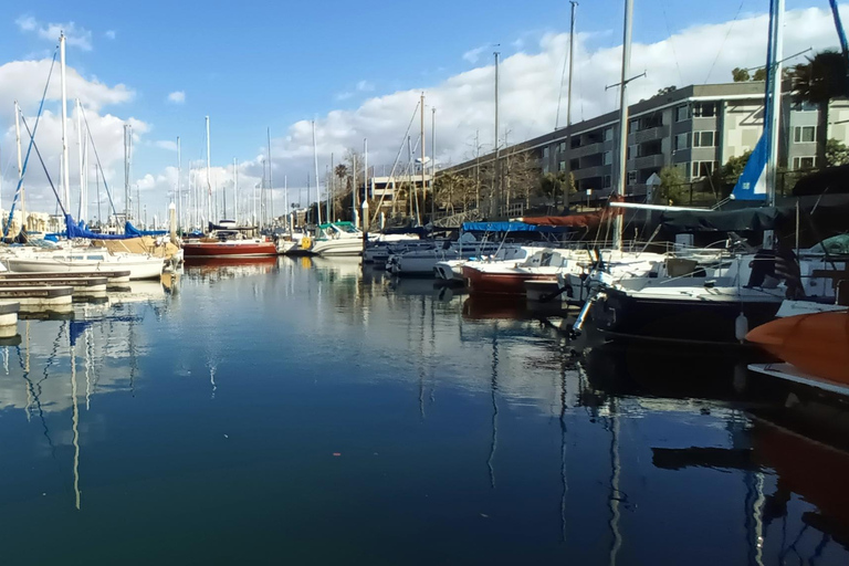 Los Angeles Luxus-Kreuzfahrt mit Wein, Charcuterie und SeelöwenGYG#1 Bootstour mit Wein &amp; Käse oder Überraschungsdinner Option