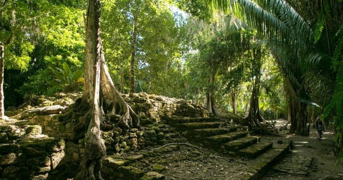 Costa Maya Chacchoben Shore Excursion with Port Pickup GetYourGuide