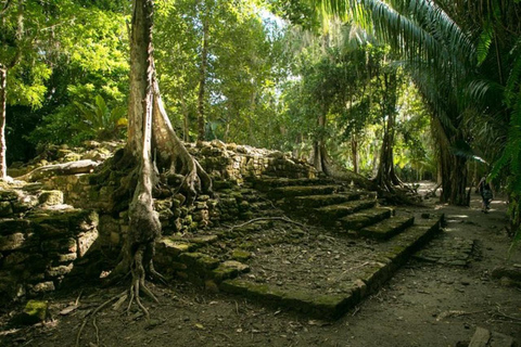 Costa Maya: Excursão em terra a Chacchoben com serviço de busca no porto