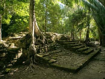 Costa Maya: Excursão em terra a Chacchoben