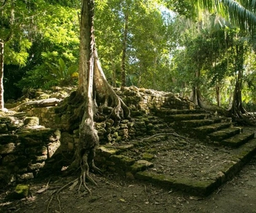 Costa Maya: Chacchoben Shore Excursion