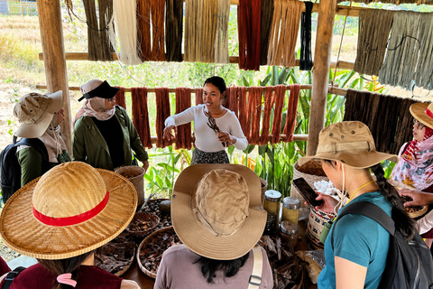 Labuan Bajo: Waterfalls, Rice Fields, and Village Tour