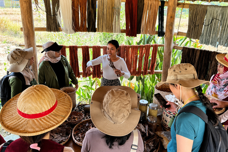 Labuan Bajo: Waterfalls, Rice Fields, and Village Tour