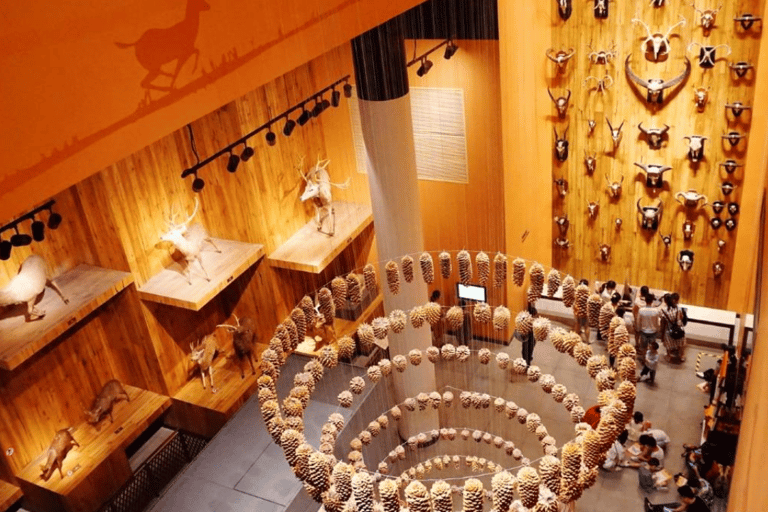 Shanghai : Entrée au musée d&#039;histoire naturelle