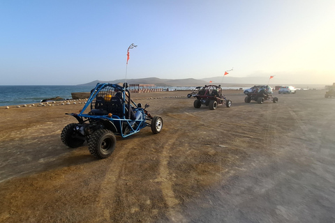 Paracas: Ballestas Islands Boat Tour & Mini Buggy Ride