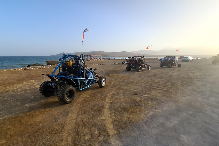 Paracas: Ballestas Islands Boat Tour & Mini Buggy Ride