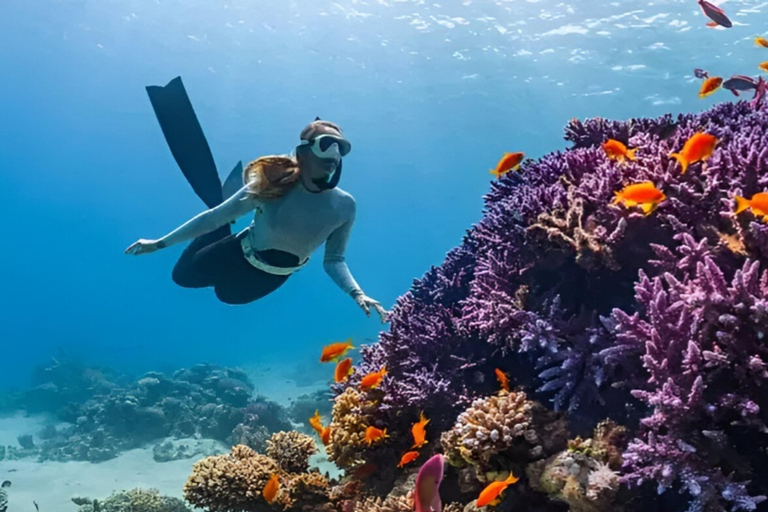 Bali: Gili Islands fast boat Trip with Hotel Pickup Gilis & Lombok to Sidemen Hotel