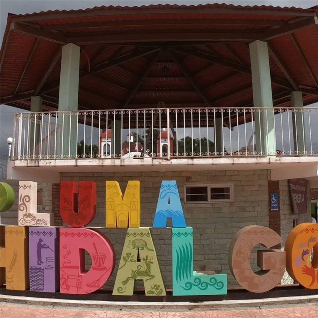 Galería de fotos para redes
