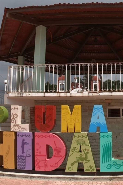 Galería de fotos para redes