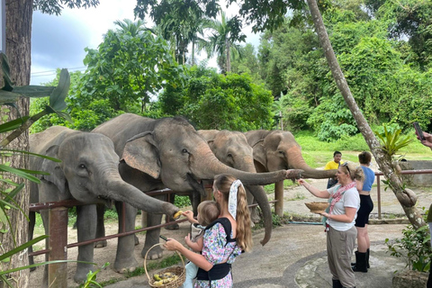 Phuket: Spaziergang und Fütterung von ethischen Elefanten im Naturpark