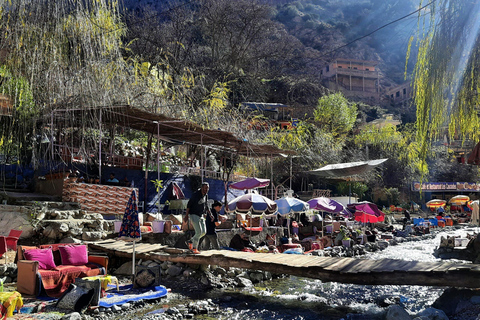 Marrakech: Atlasgebergte, Ourika waterval met gids+lunchGroepsreis