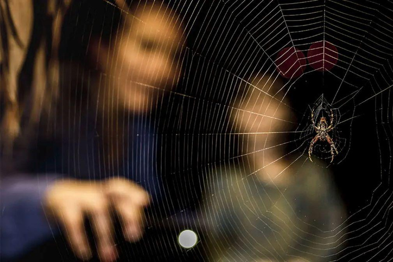 Madre de Dios: Amazon Rainforest Nocturnal Tour