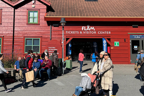 Tour particular de 2 dias com comboio de Flåm, Hardagerfjord e cruzeiro