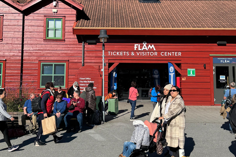 Recorrido privado de 2 días con tren de Flåm, fiordo Hardager y crucero