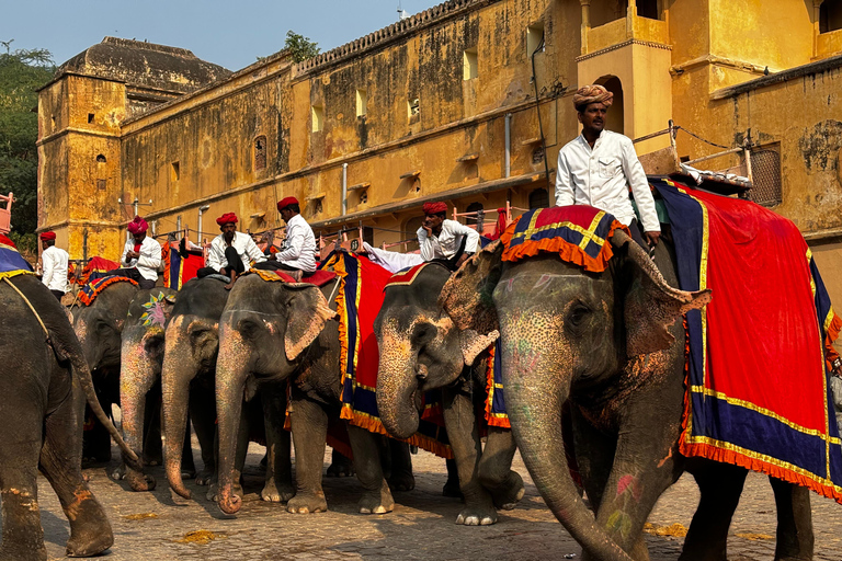 Jaipur : Full day Jaipur City Tour and Drop Delhi Include : Car + Guide + Entrances
