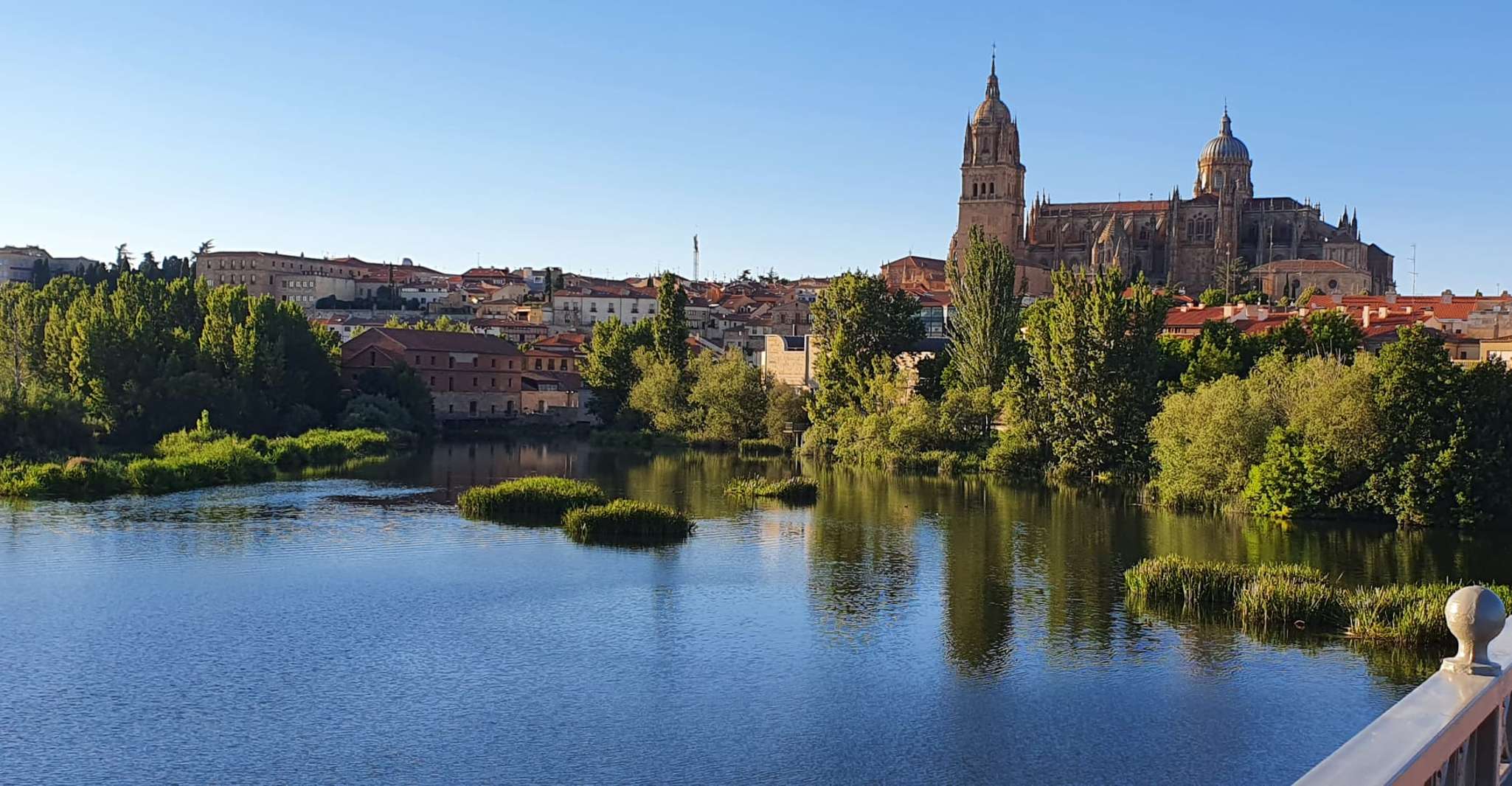 Salamanca, Private tour of the most important sites - Housity
