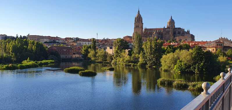 Salamanca: Private tour of the most important sites